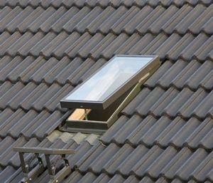 Fereastra luminator FAKRO WGT WGI