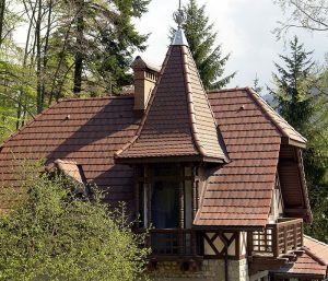 house Tigla de beton Bramac REVIVA