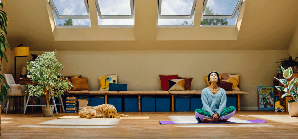 MHL la prețul de 10 lei